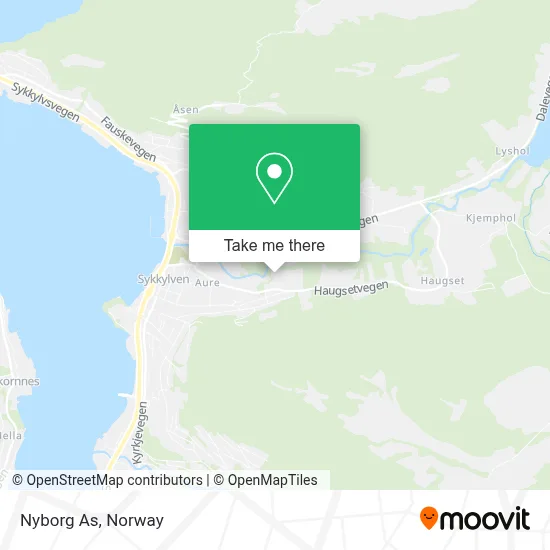 Nyborg As map