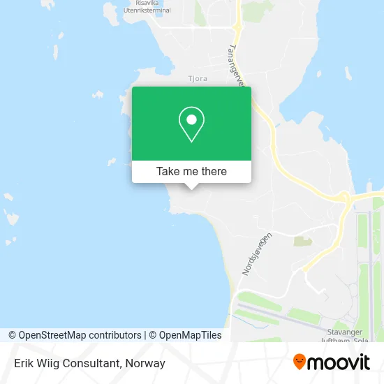 Erik Wiig Consultant map