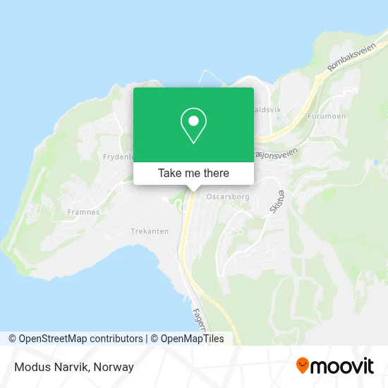 Modus Narvik map