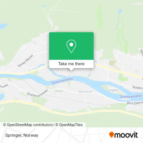 Springer map
