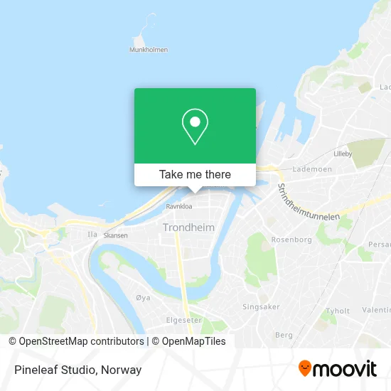 Pineleaf Studio map