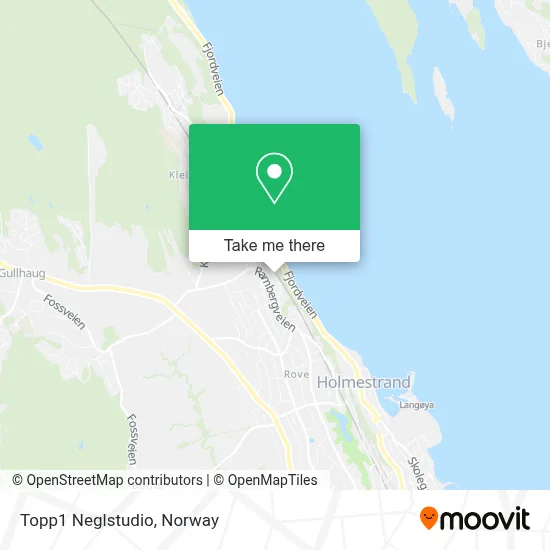 Topp1 Neglstudio map