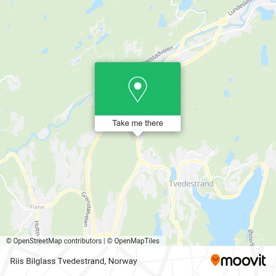 Riis Bilglass Tvedestrand map