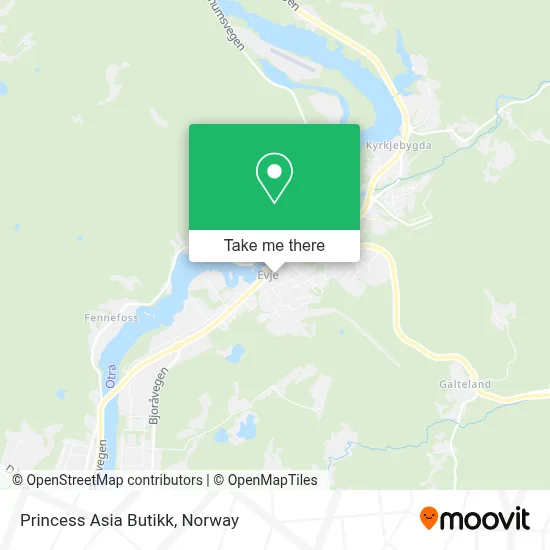 Princess Asia Butikk map