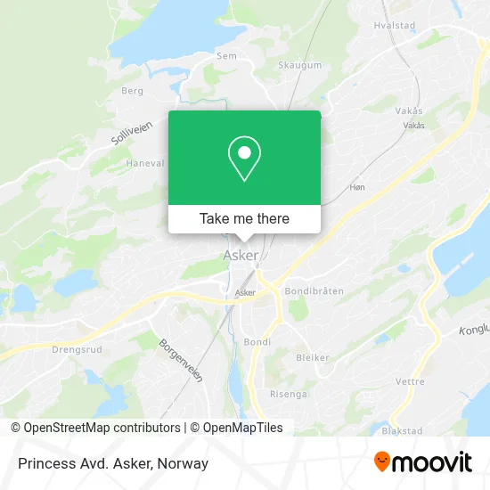 Princess Avd. Asker map