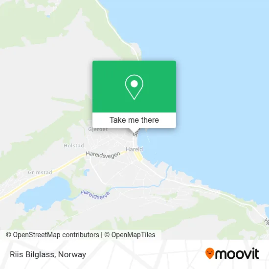 Riis Bilglass map
