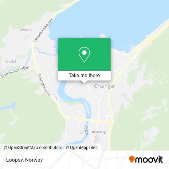 Loopsy map
