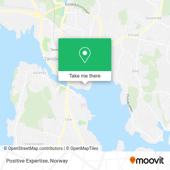 Positive Expertise map