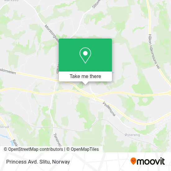 Princess Avd. Slitu map