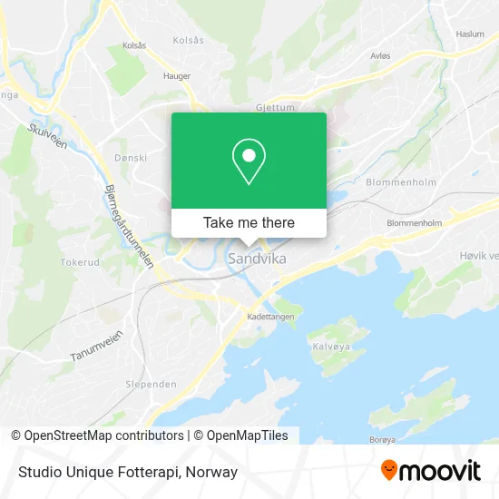 Studio Unique Fotterapi map