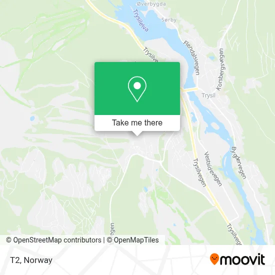 T2 map