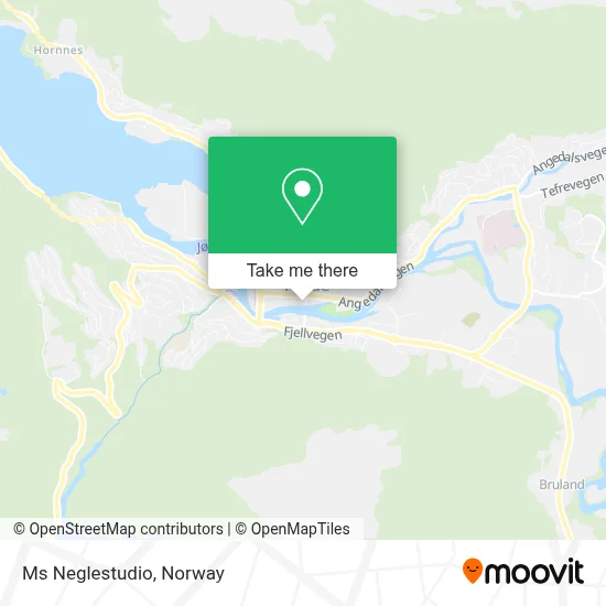 Ms Neglestudio map
