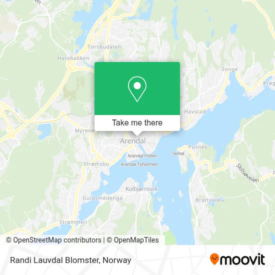 Randi Lauvdal Blomster map