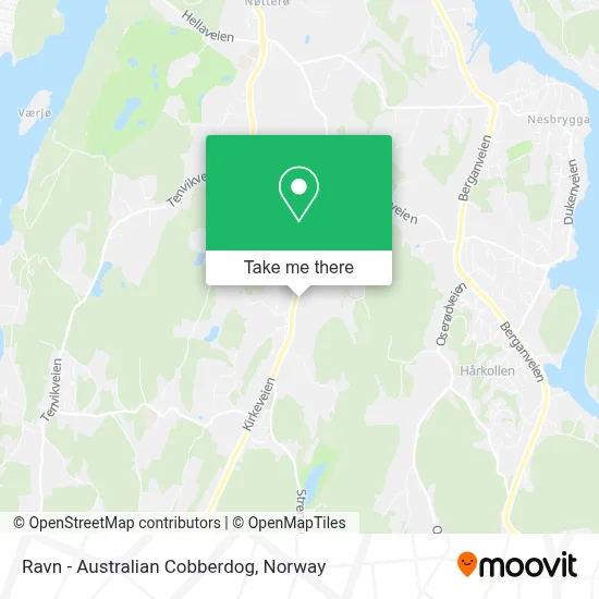 Ravn  - Australian Cobberdog map