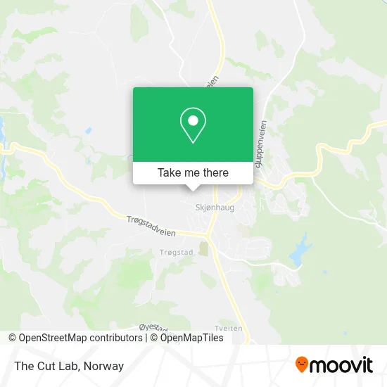 The Cut Lab map