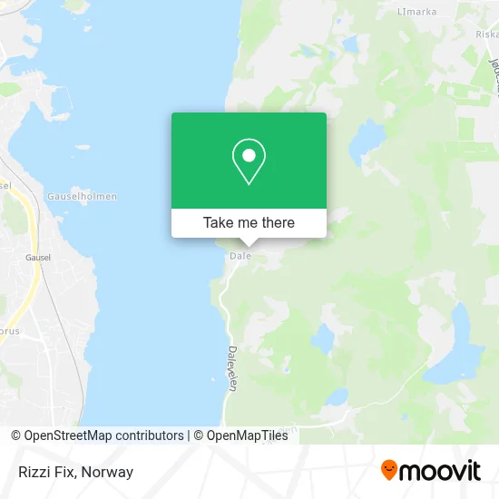 Rizzi Fix map
