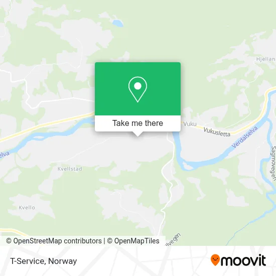 T-Service map