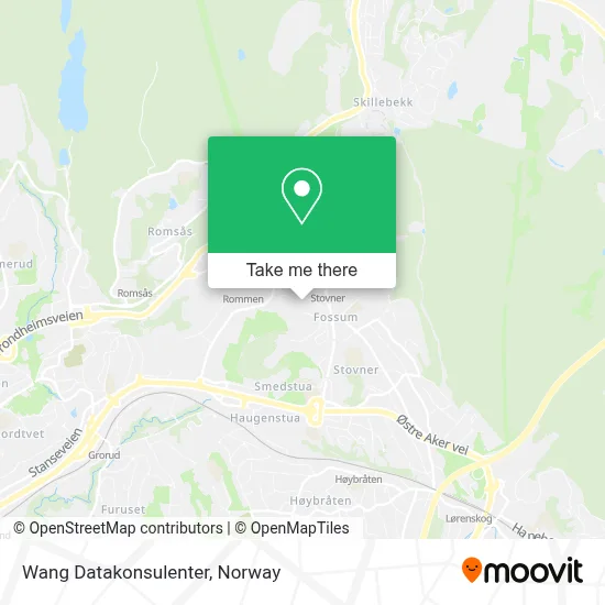 Wang Datakonsulenter map