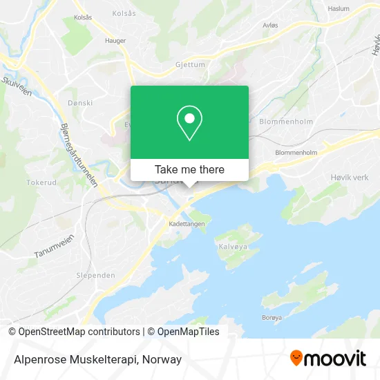 Alpenrose Muskelterapi map