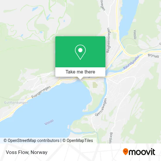 Voss Flow map