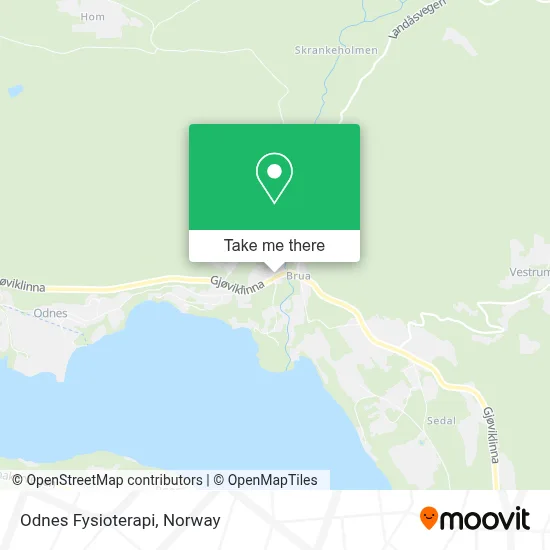 Odnes Fysioterapi map