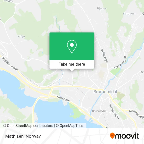 Mathisen map