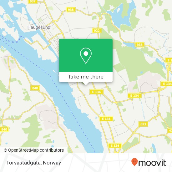 Torvastadgata map