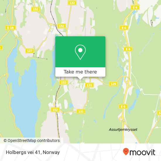 Holbergs vei 41 map