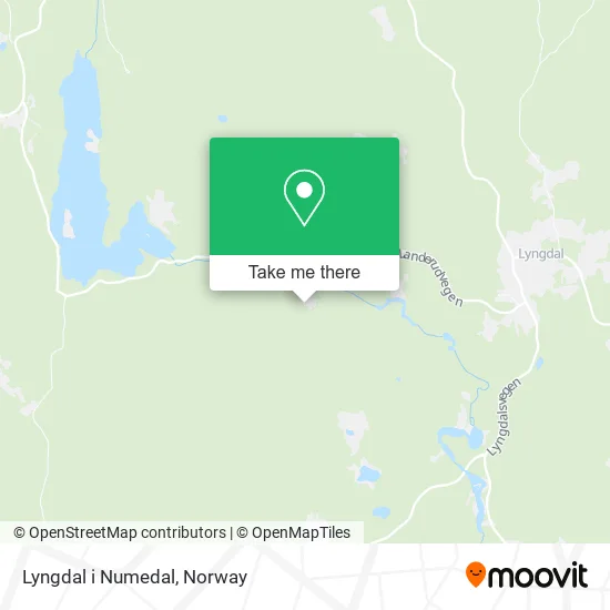 Lyngdal i Numedal map