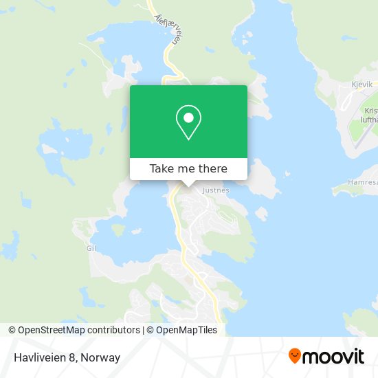 Havliveien 8 map