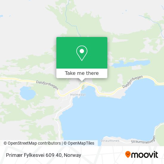 Primær Fylkesvei 609 40 map