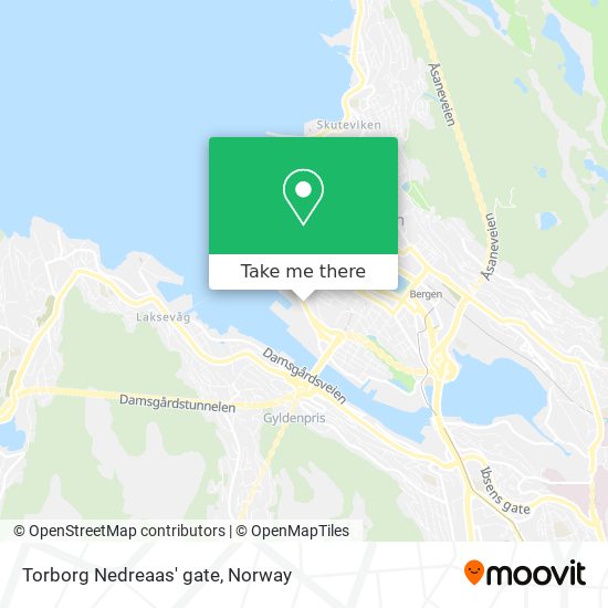 Torborg Nedreaas' gate map