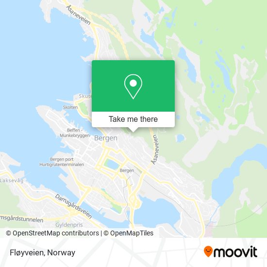 Fløyveien map