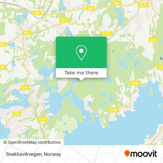 Snekkevikvegen map