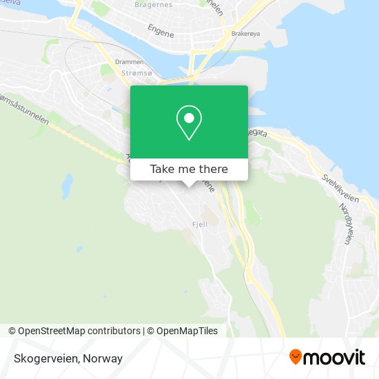 Skogerveien map