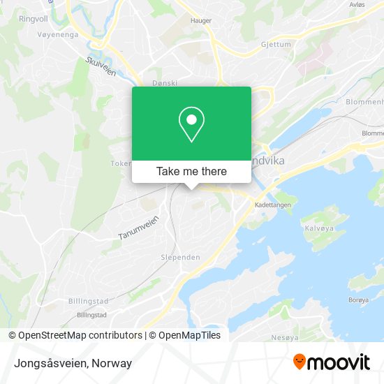 Jongsåsveien map