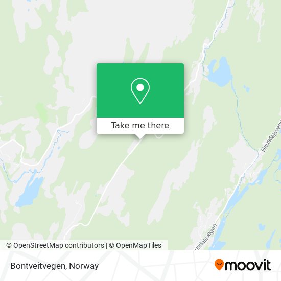 Bontveitvegen map