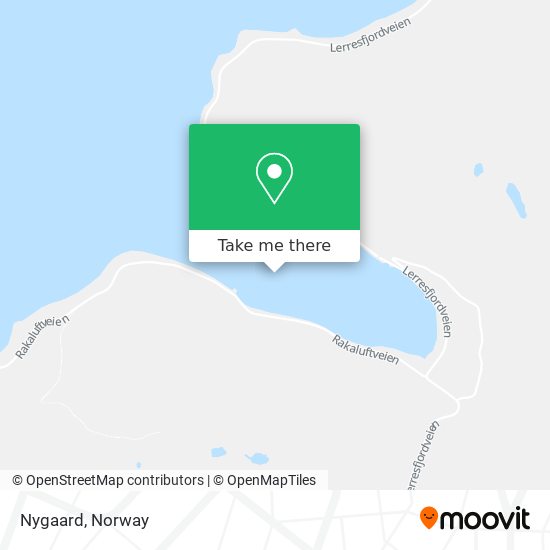 Nygaard map