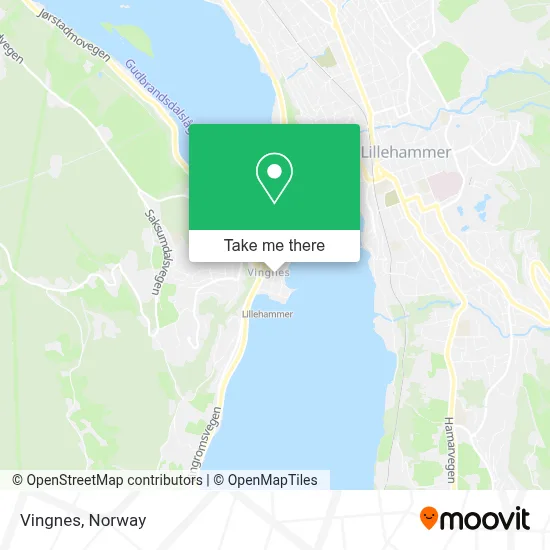 Vingnes map