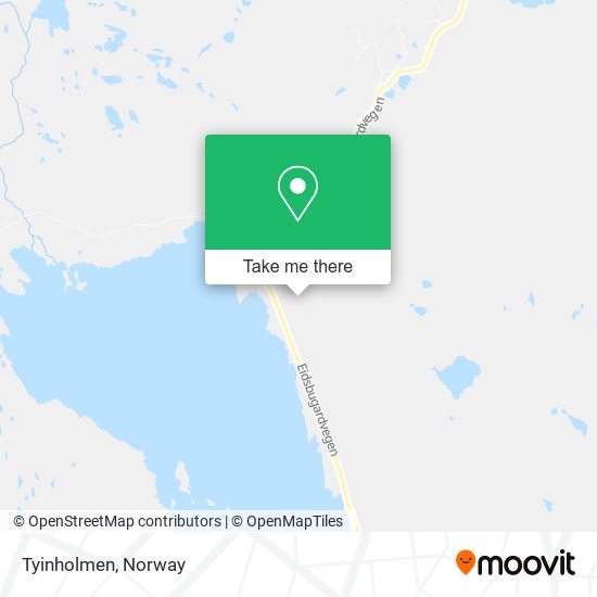 Tyinholmen map