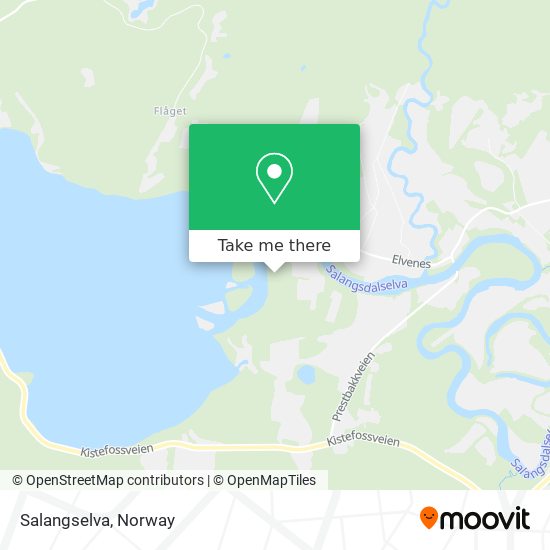 Salangselva map