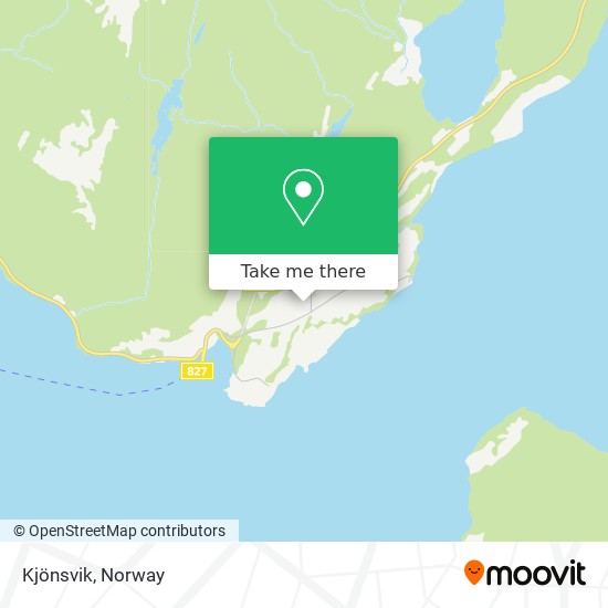 Kjönsvik map