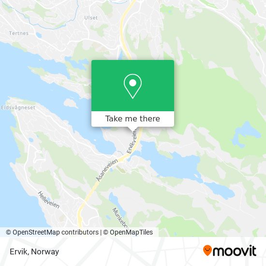 Ervik map