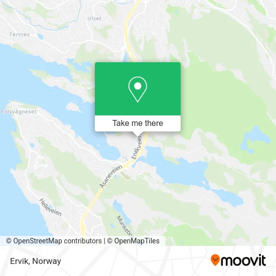 Ervik map