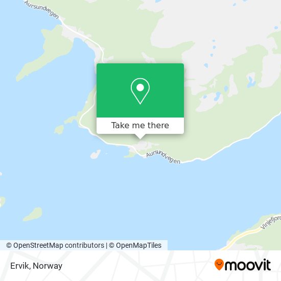 Ervik map