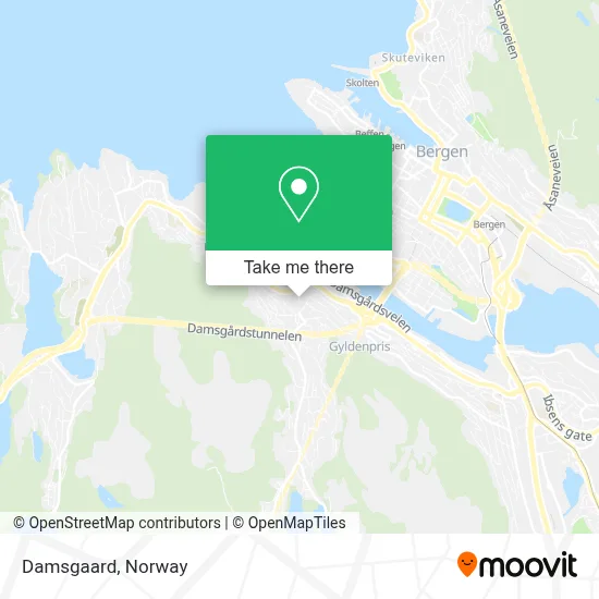Damsgaard map