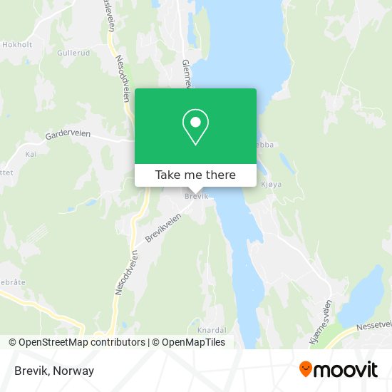 Brevik map