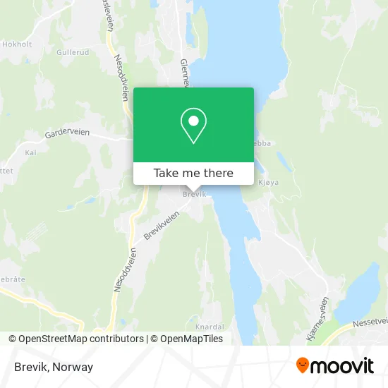Brevik map