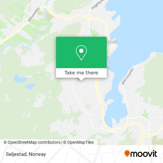 Seljestad map