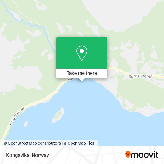 Kongsvika map